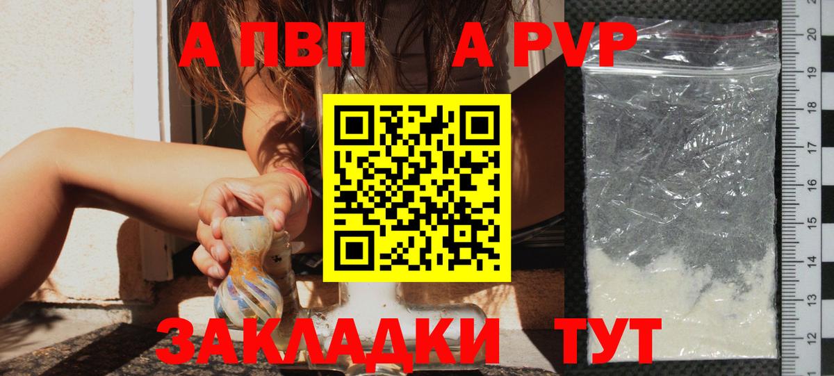 Alfa_PVP СК КРИС Бердск
